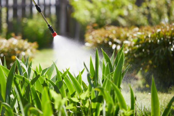 24/7 Emergency Ant Control experts in Trenton, FL